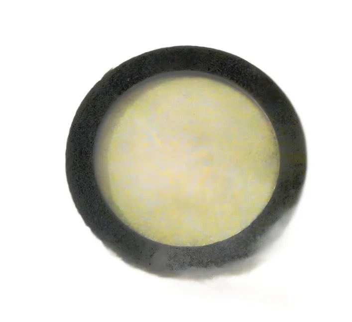 AUTO CRANE OIL SEAL